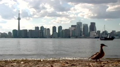 ferie z nauką angielskiego w Toronto